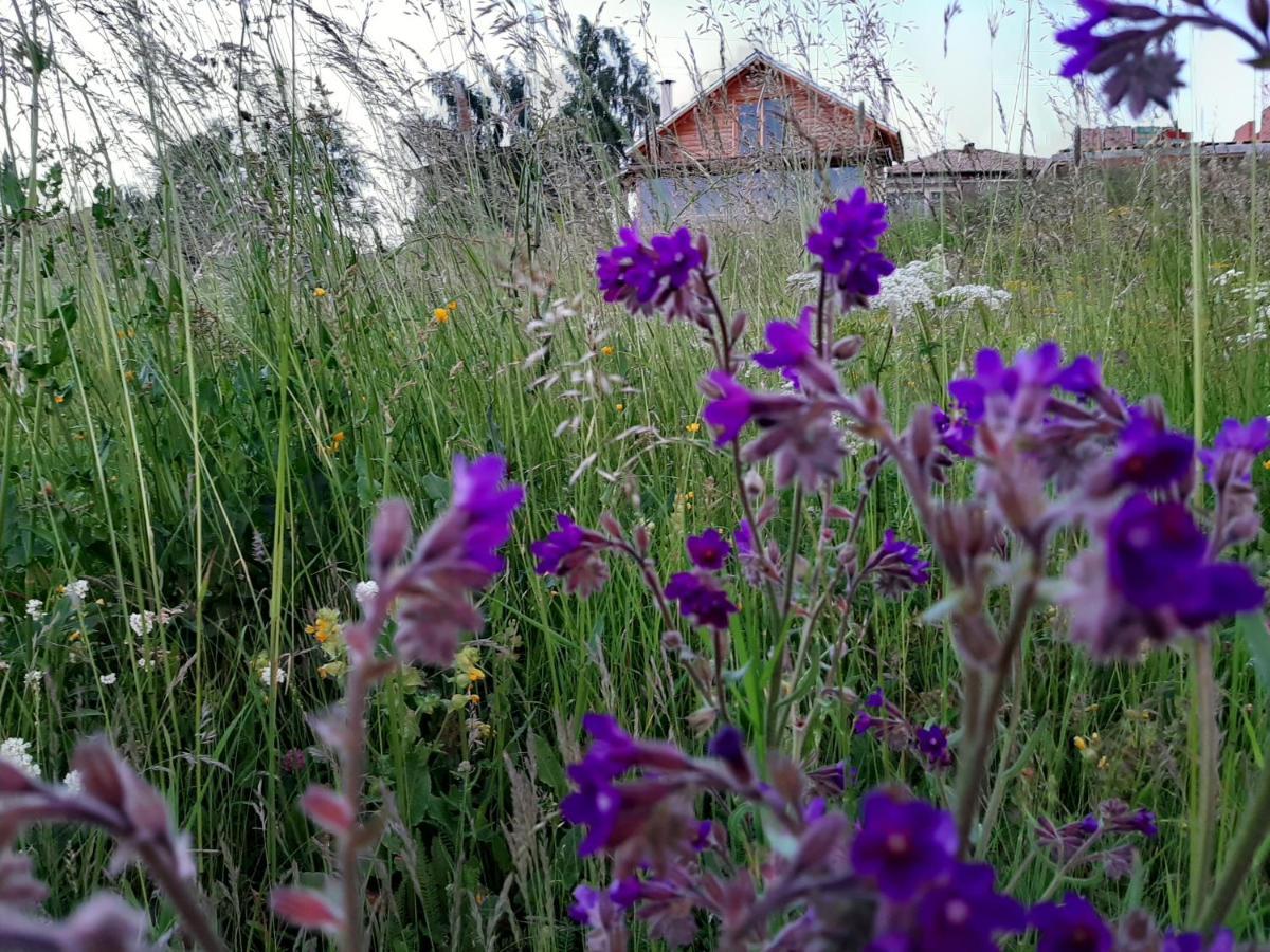 Вила Орцево Vila Ortsevo Exteriér fotografie
