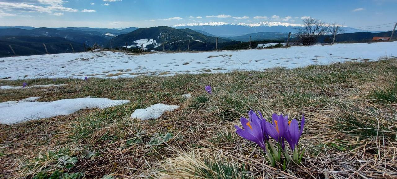 Вила Орцево Vila Ortsevo Exteriér fotografie