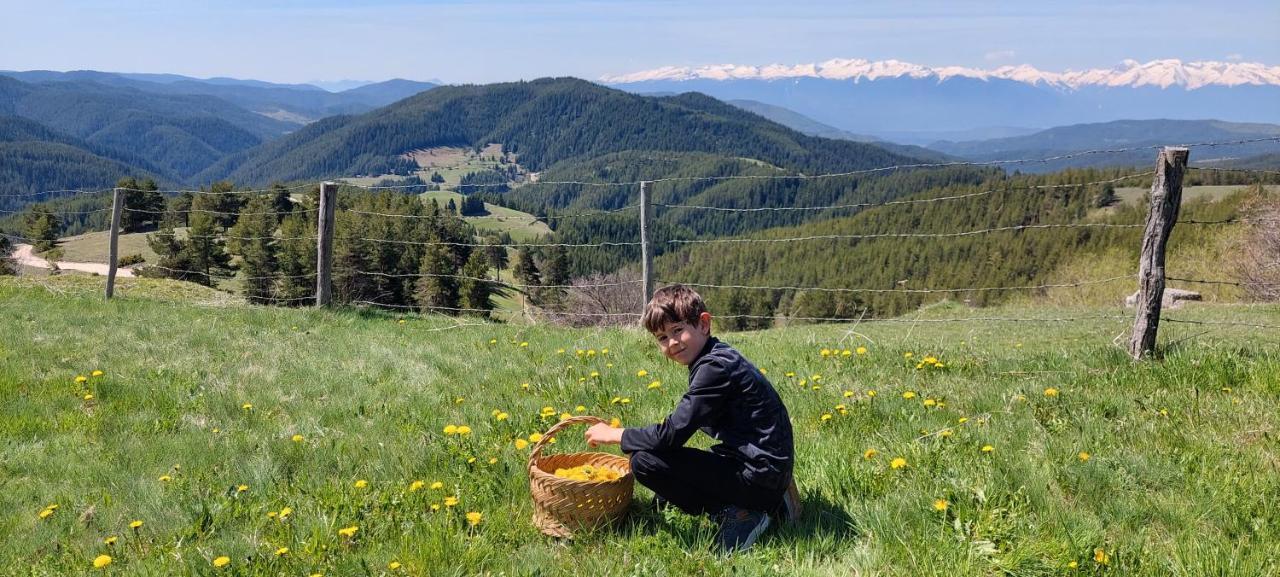 Вила Орцево Vila Ortsevo Exteriér fotografie