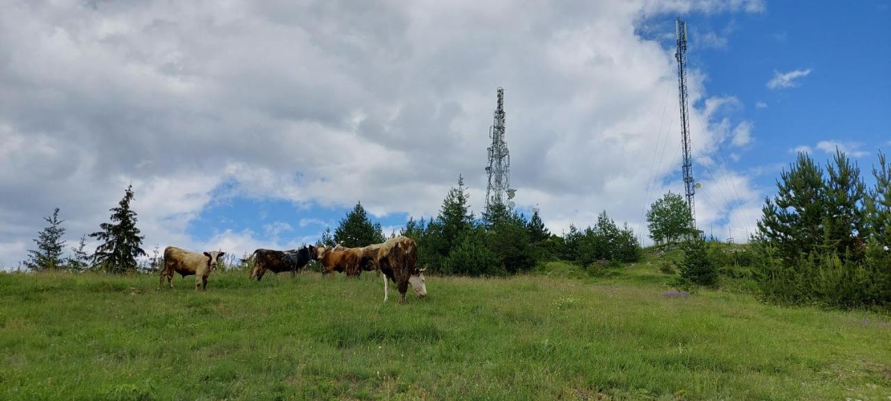 Вила Орцево Vila Ortsevo Exteriér fotografie