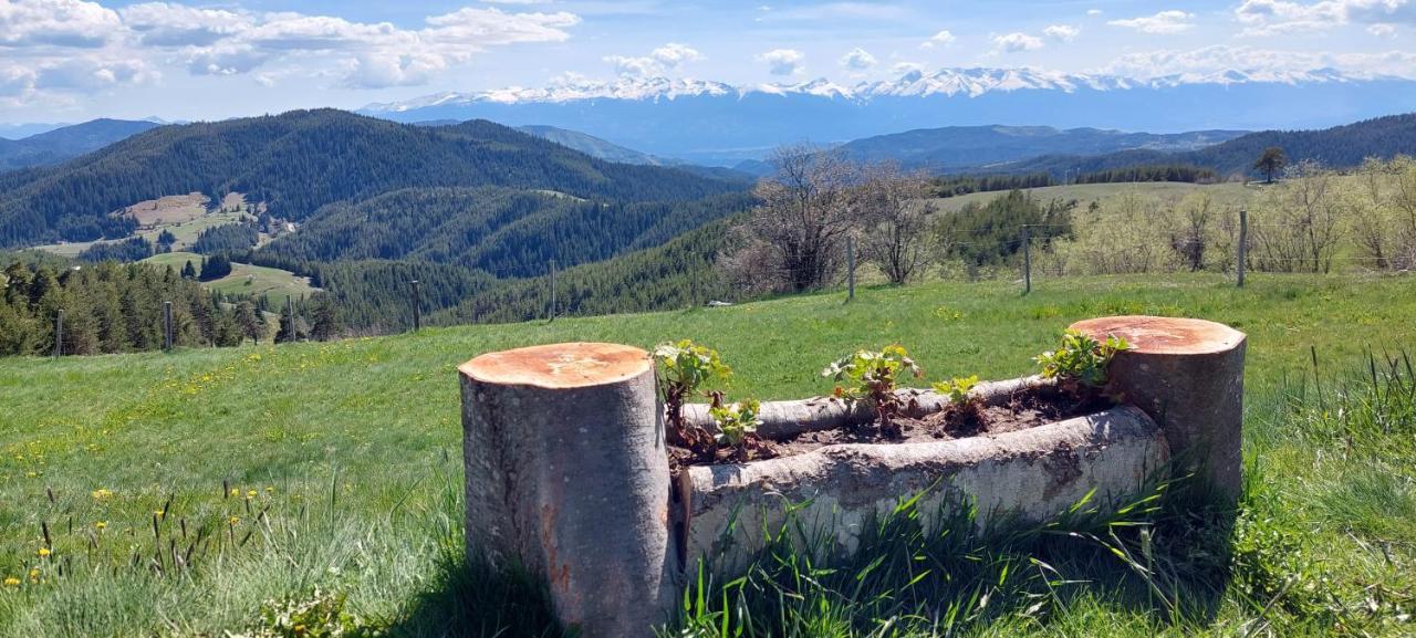 Вила Орцево Vila Ortsevo Exteriér fotografie