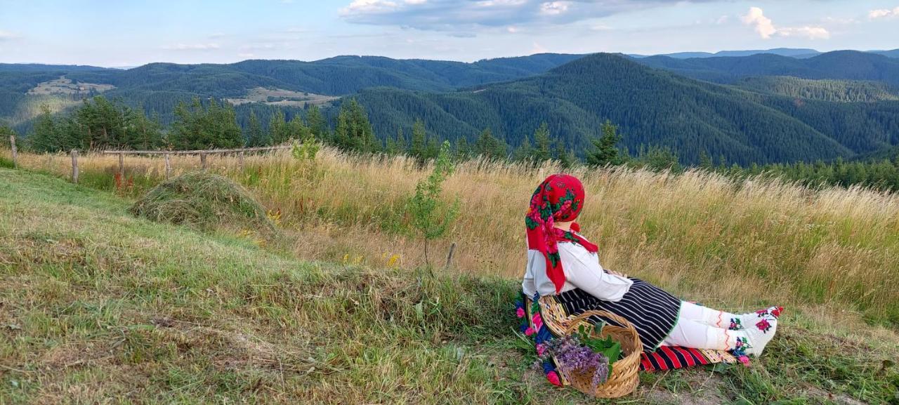 Вила Орцево Vila Ortsevo Exteriér fotografie